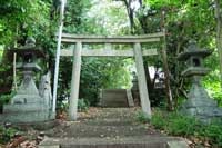 Torii_200x133.jpg