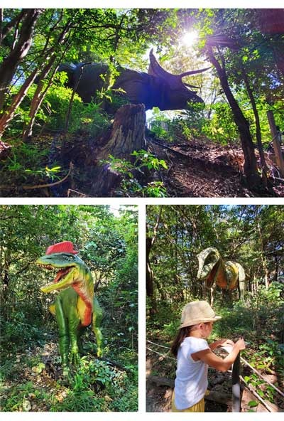 DinoAdv.400x592.jpg