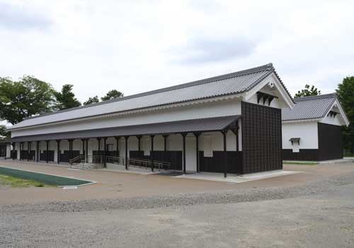 Okura1_500x350.jpg