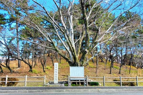 Tsuruma12_600x400.jpg