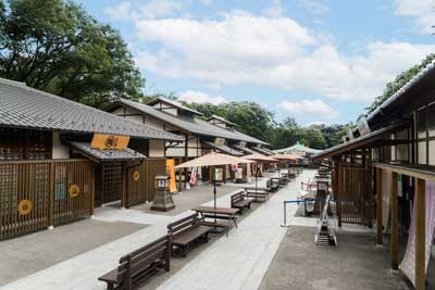YoshinaoZone_400x267.jpg
