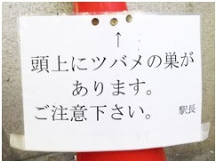 be aware of droppings.jpg